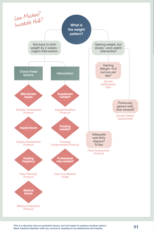 Lactation Protocols- Weight Gain Concerns - Image 2
